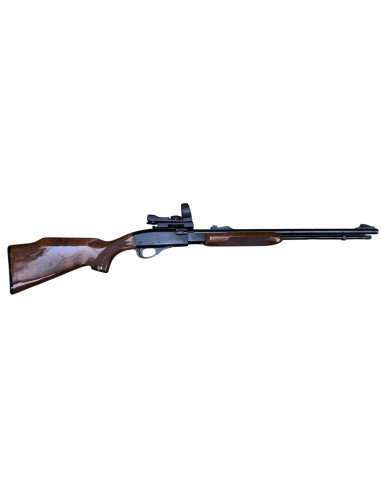 Occasion : REMINGTON 572 22 LONG RIFLE